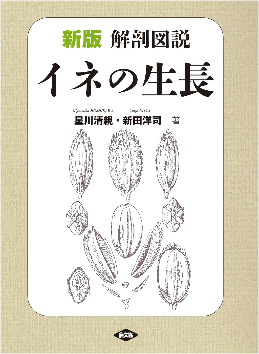 New Illustrated Guide to the Anatomy and Growth of Rice Plants