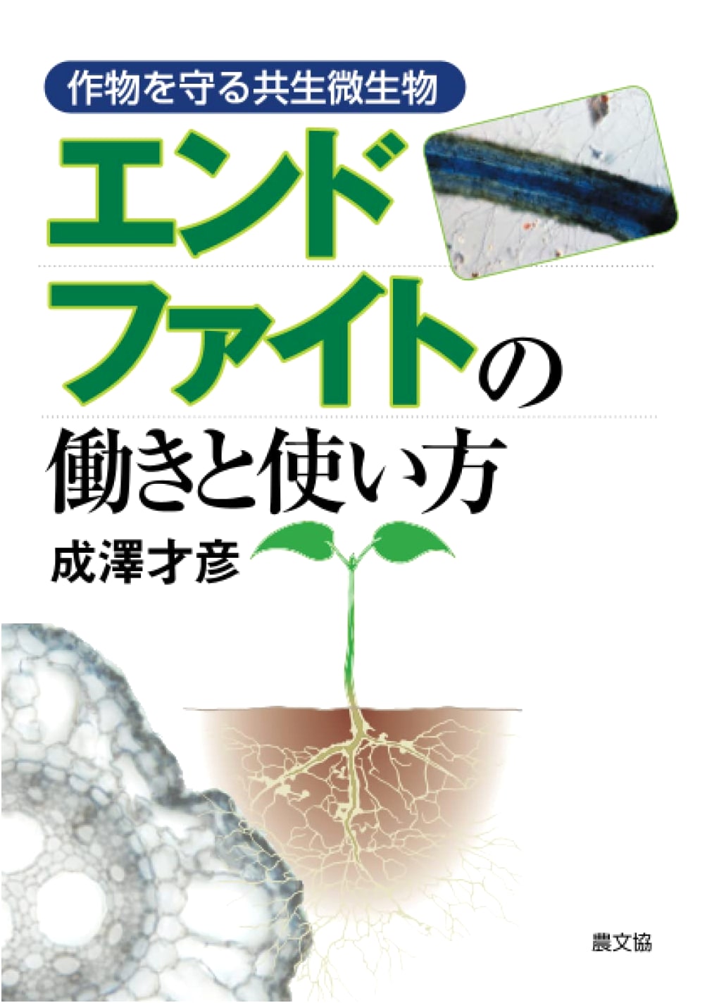 Endophyte Function and Utilization