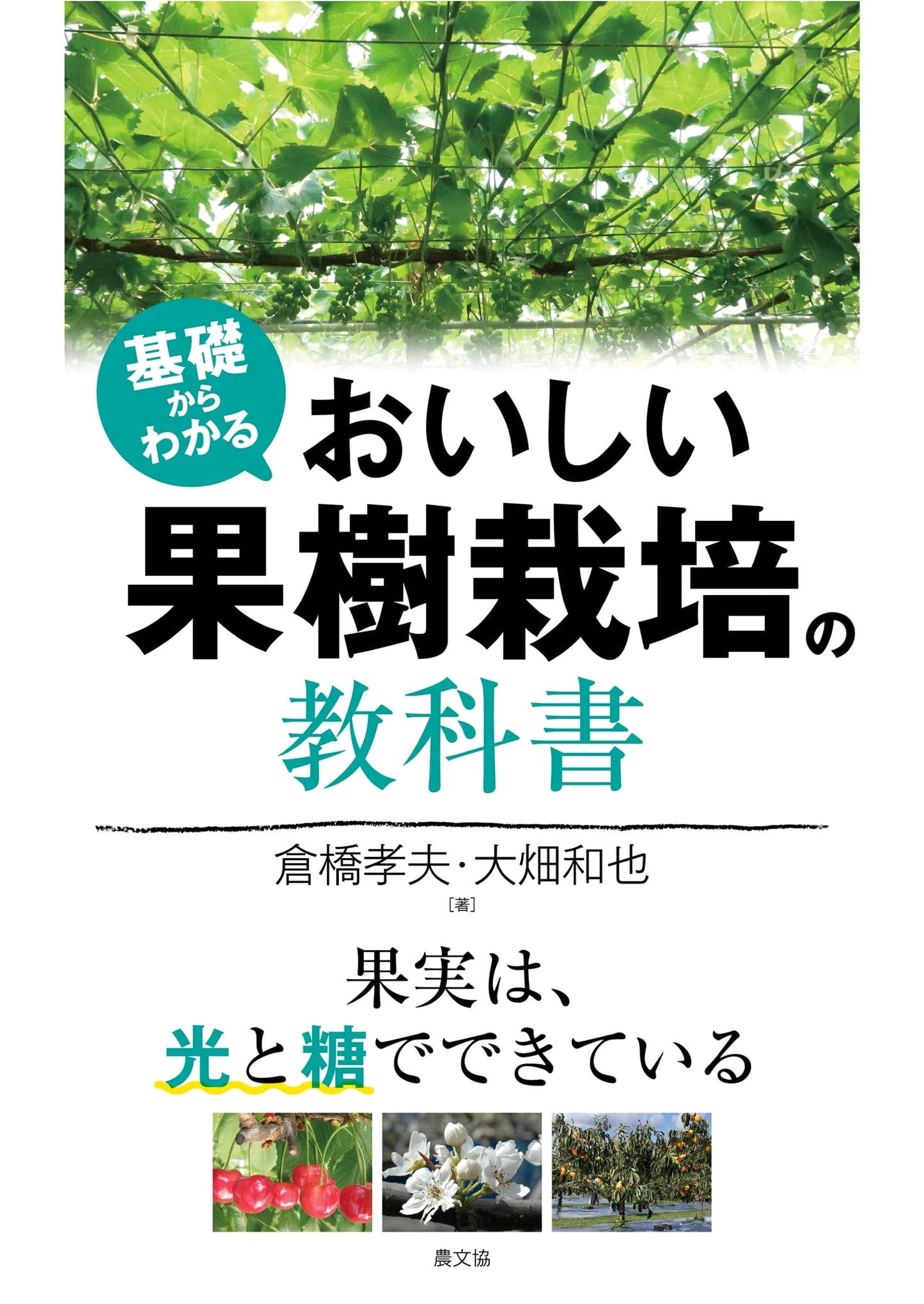 Delicious Fruit Tree Cultivation Textbook: Learn from Basics - Fruits are Made of Light & Sugar