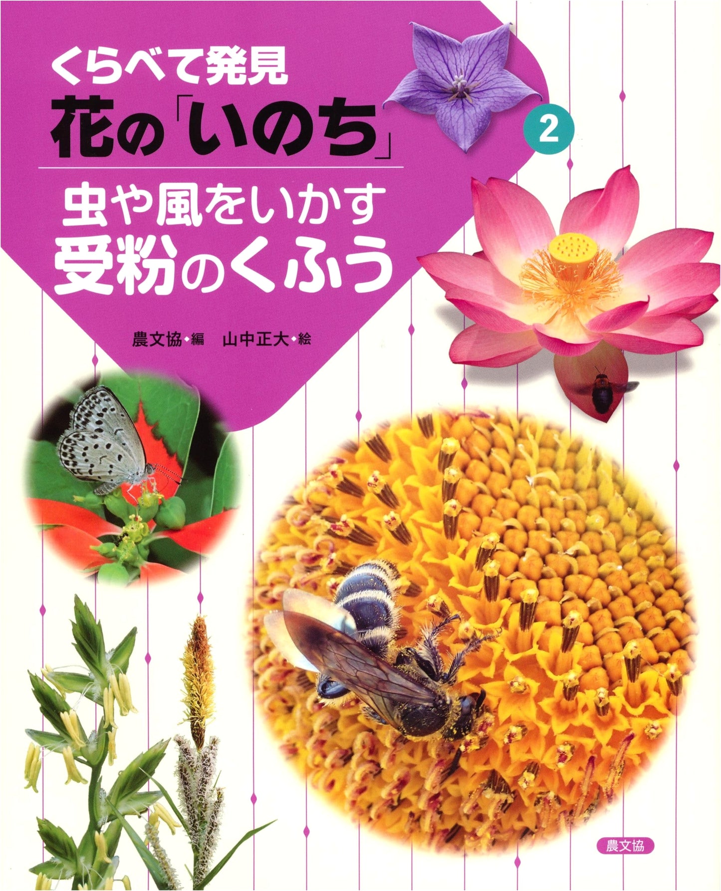Ingenious Pollination: How Insects & Wind Work (Vol. 2) - Discovering Flower Life