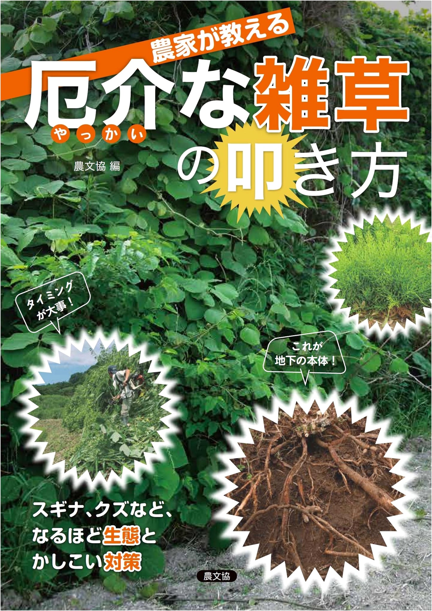 Farmer's Guide to Eliminating Troublesome Weeds: Horsetail, Kudzu, and Smart Solutions
