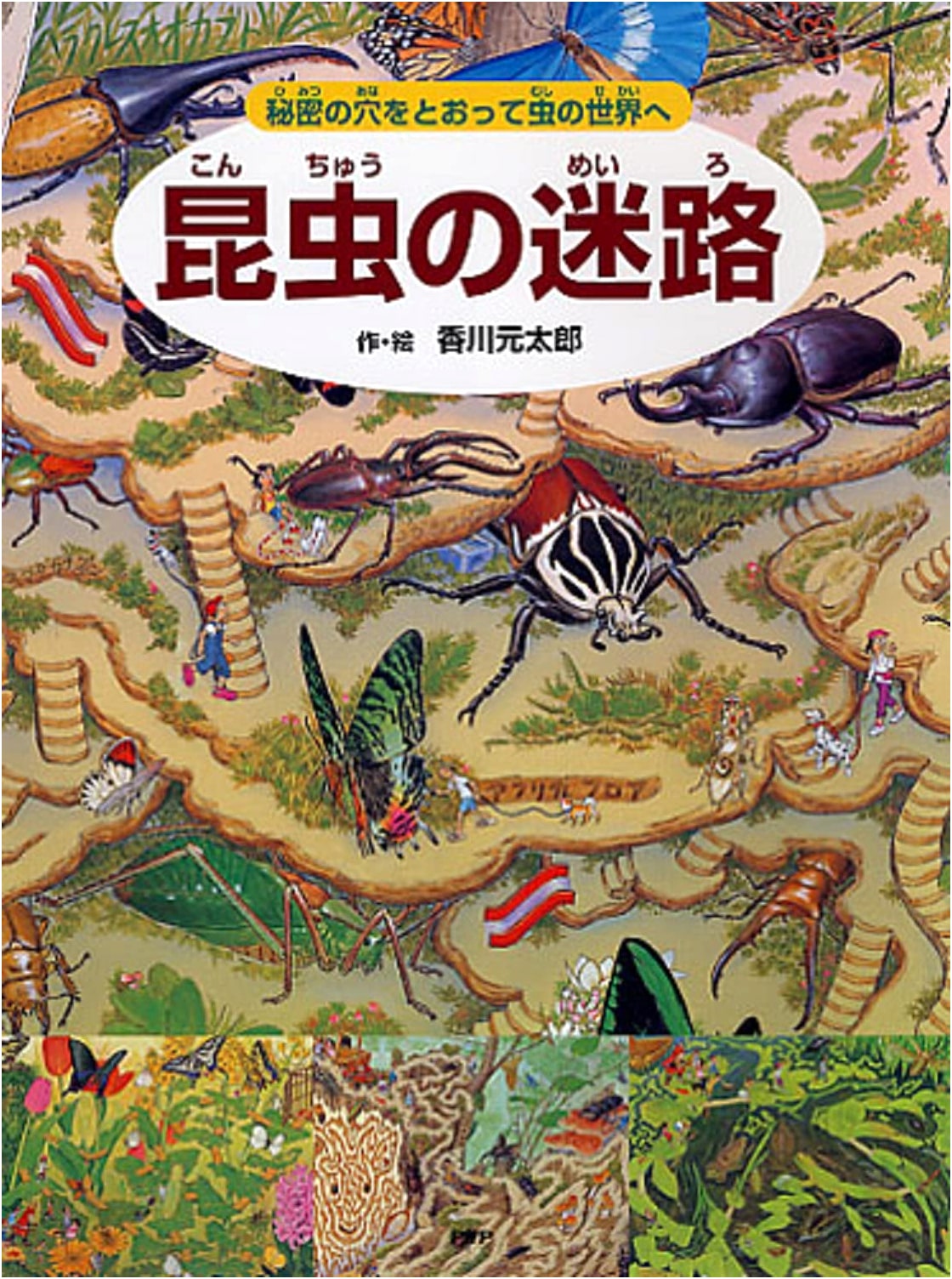 Insect Maze: Explore the World of Bugs Through Secret Holes by Mototaro Kagawa