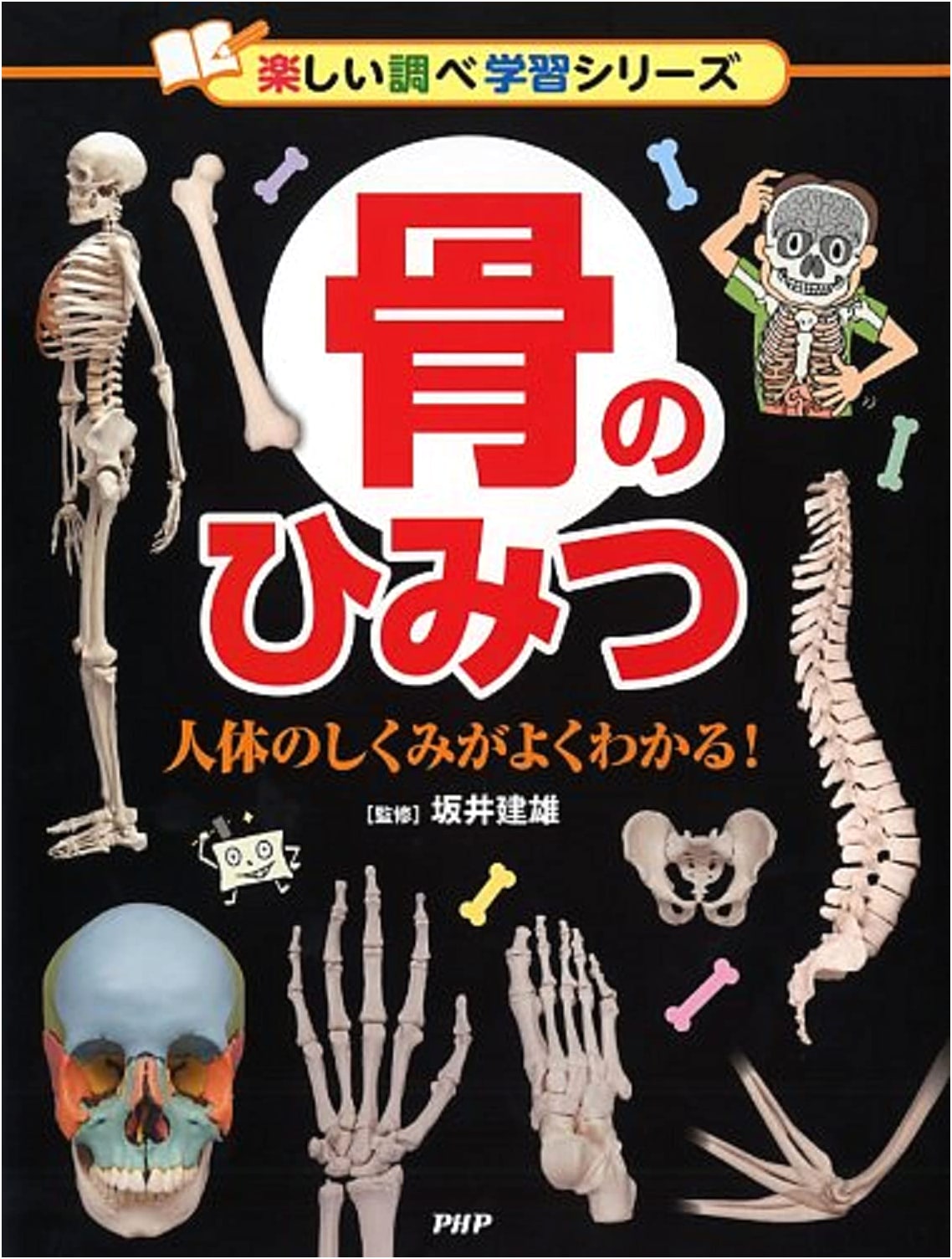 Secrets of Bones: Understanding the Human Body (Fun Research Series)