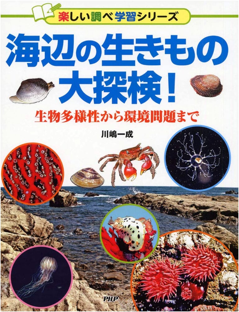 Exploring Seaside Creatures: From Biodiversity to Environmental Issues (Fun Learning)