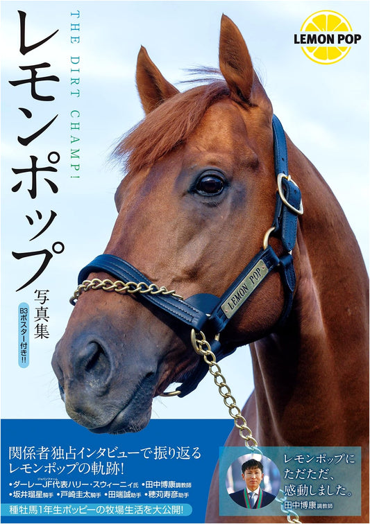 Lemon Pop Photobook: The Dirt Champ!