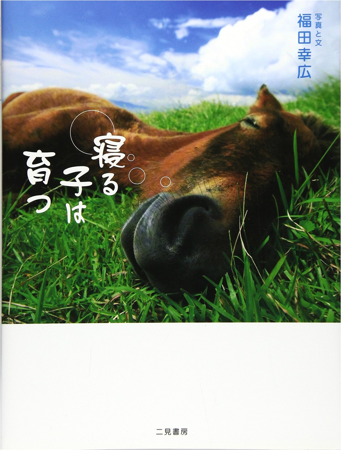 Happy Sleepy Animals by Yukihiro Fukuda