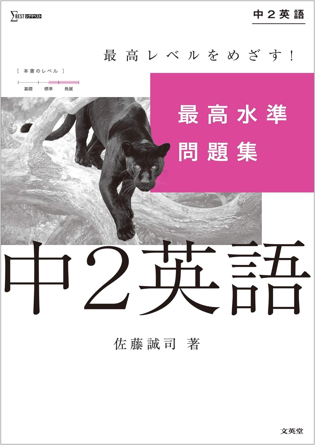 Highest Standard Problem Set: Junior High School 2nd Grade English (Sigma Best Series)