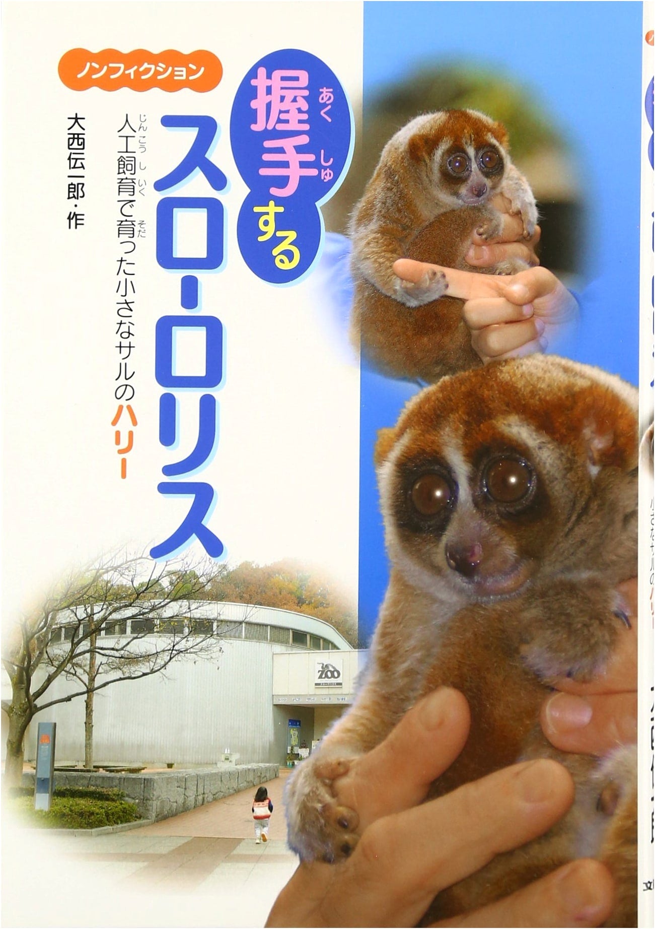 Harry the Slow Loris Who Shakes Hands: A Small Monkey Raised in Captivity