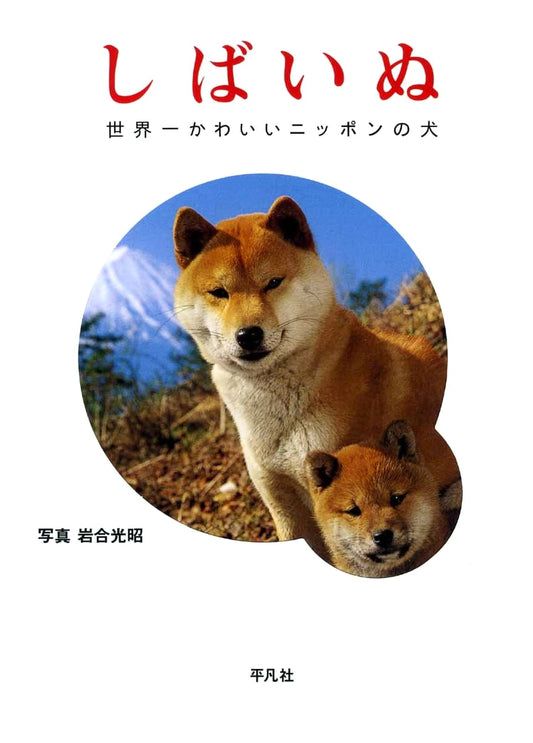 Shiba Inu by Mitsuaki Iwago