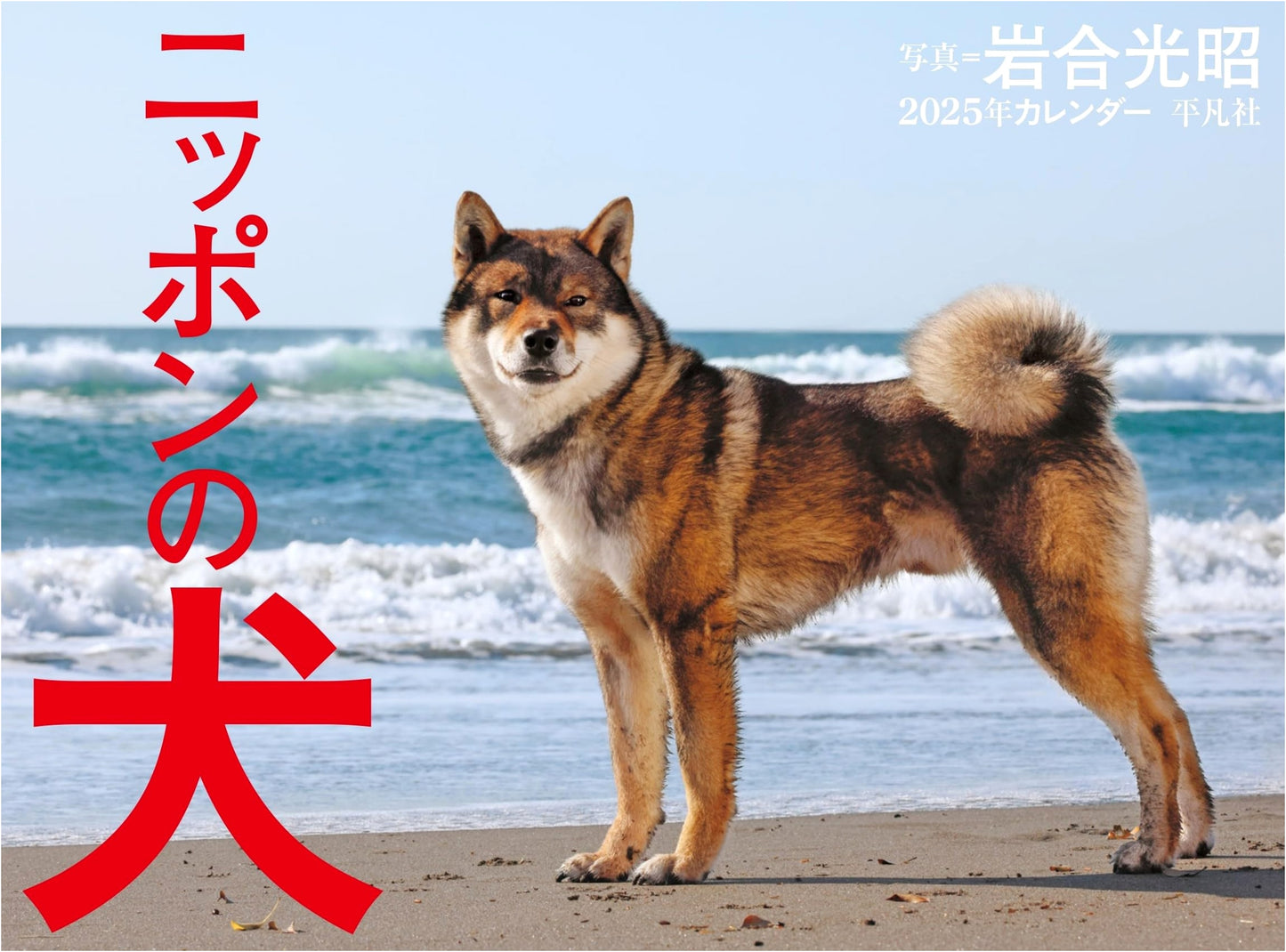 2025 Calendar: Dogs of Japan