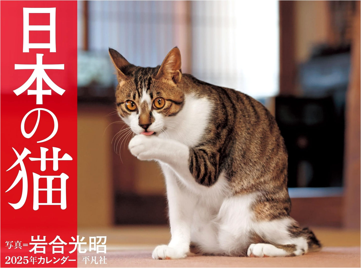 2025 Calendar: Cats of Japan