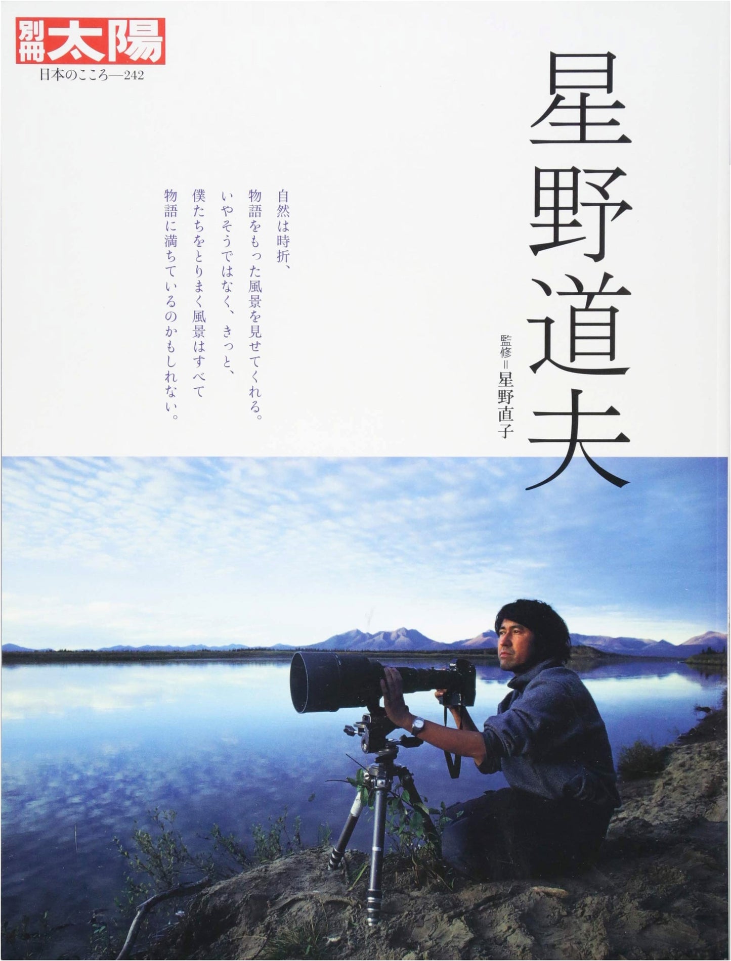 Michio Hoshino: Bessatsu Taiyo Special Issue 242 - The Heart of Japan