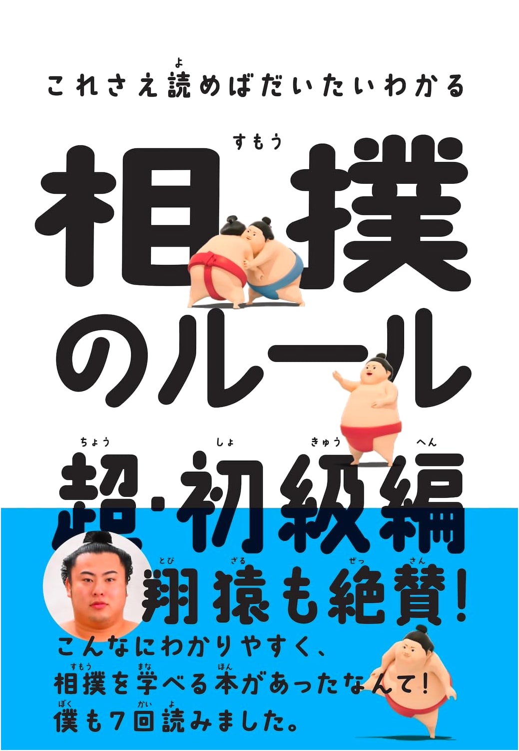 The Super Beginner's Guide to Sumo Rules: Understand Everything