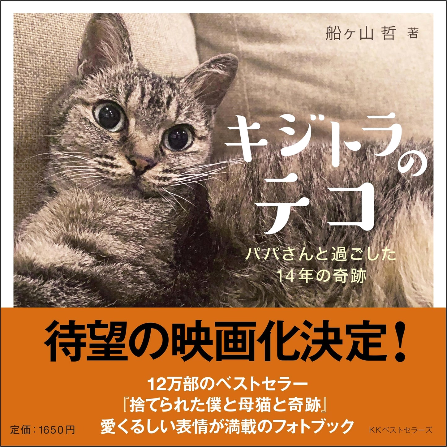 Teko the Tabby: 14 Years of Miracles with Dad