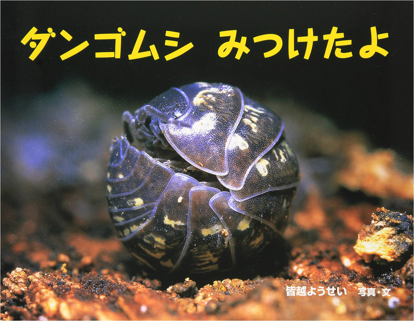 I Found a Pill Bug! (Full of Wonder Photo Picture Book 1)