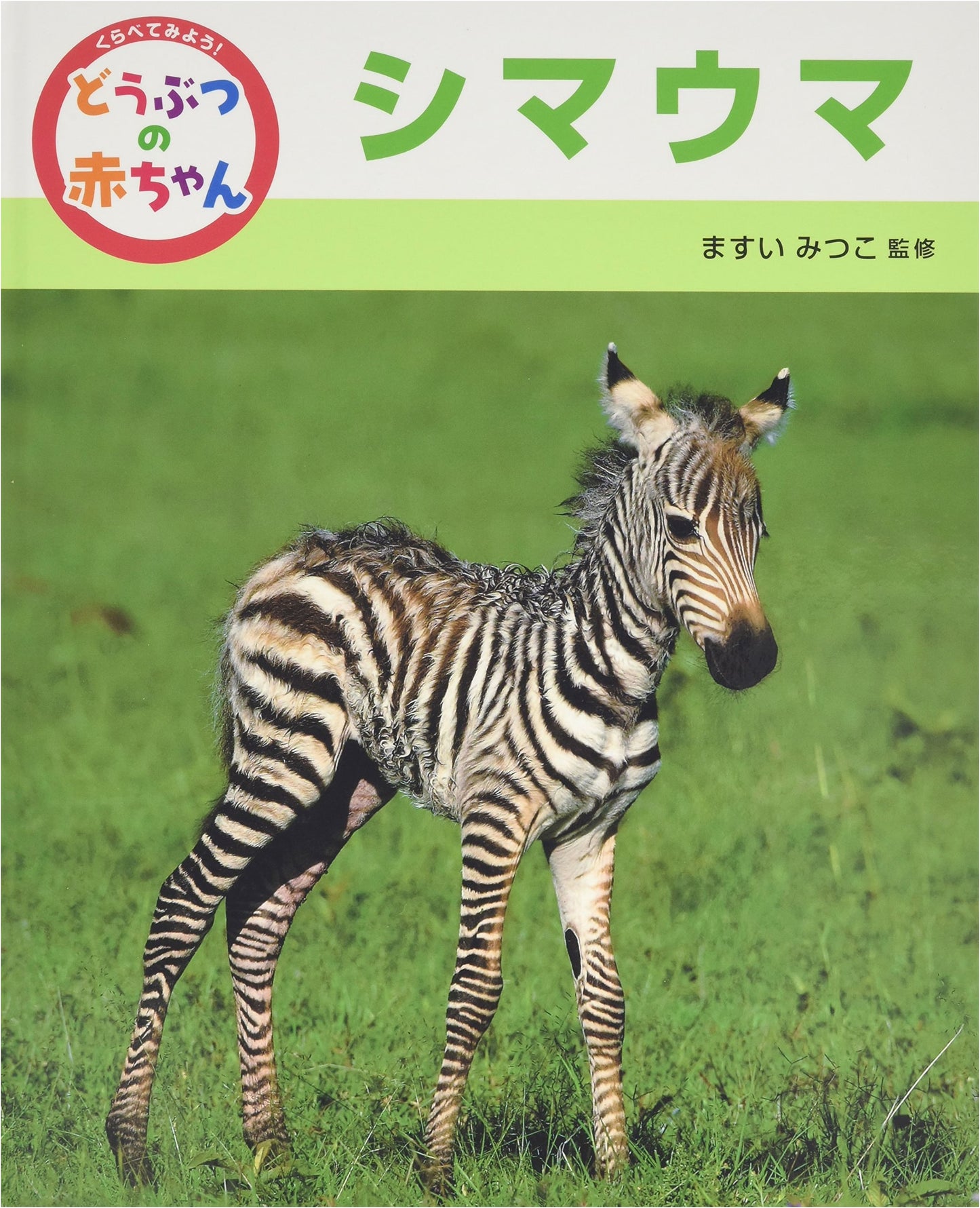 Let's Compare! Baby Animals (2)