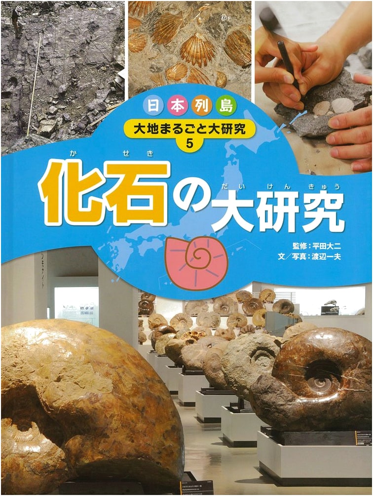 Grand Study of Fossils: The Japanese Archipelago Edition