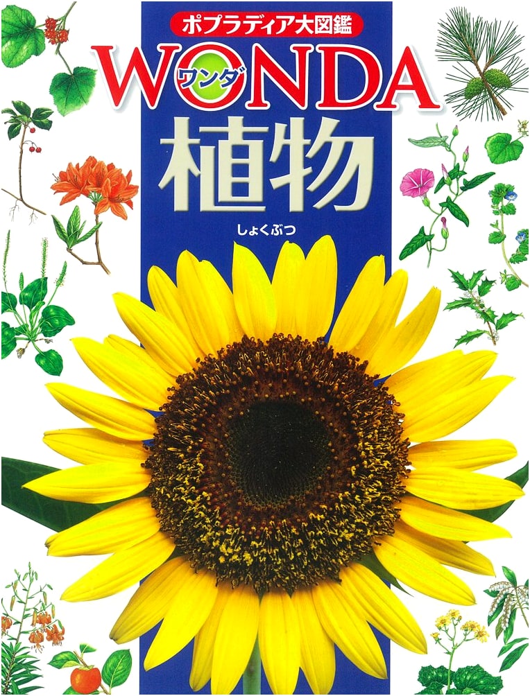 Plants: Poplar WONDA Grand Illustrated Encyclopedia
