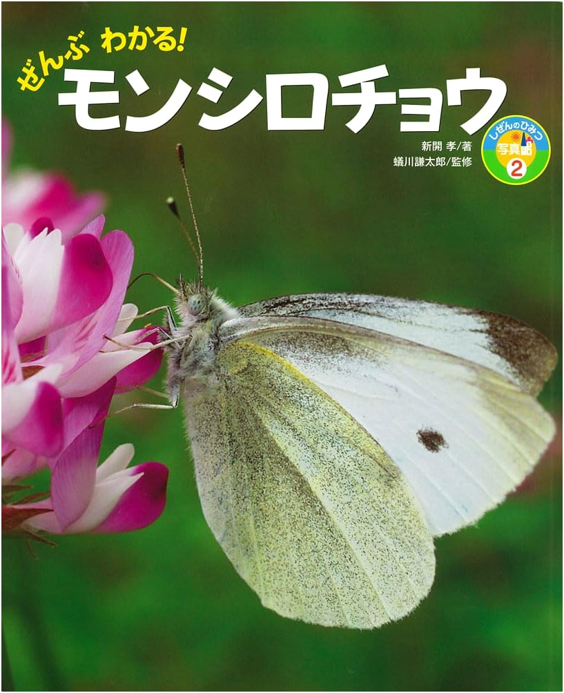 Everything You Need to Know About Cabbage White Butterflies (Nature's Secret Photo Gallery 2)