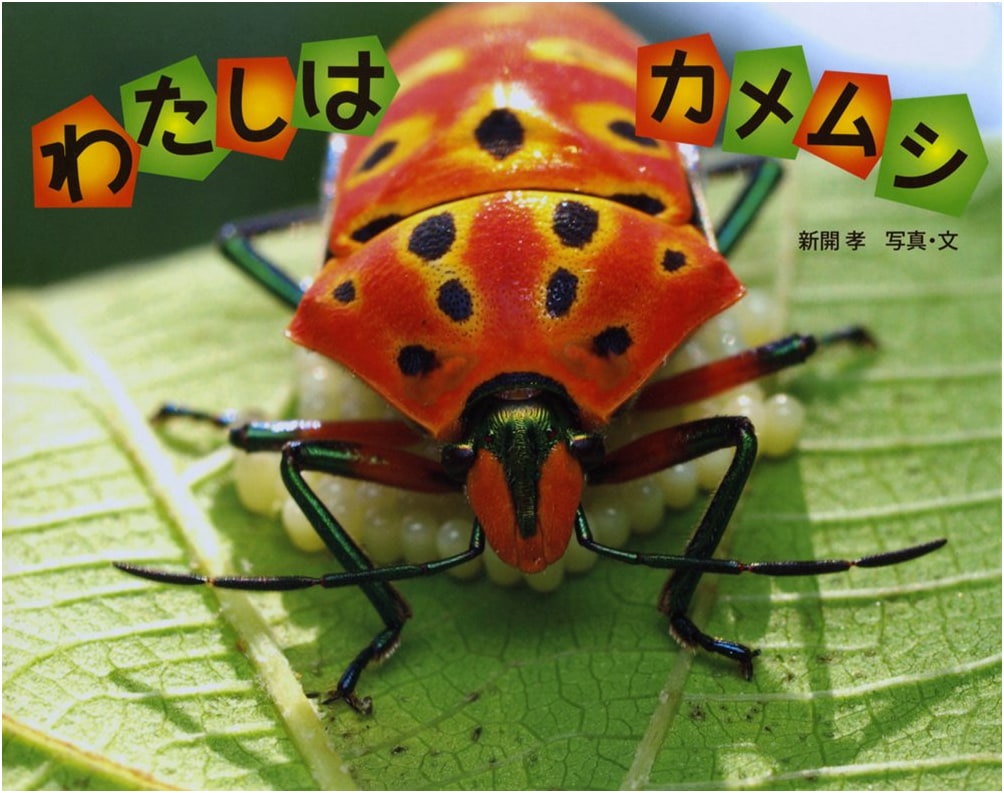 I Am a Stink Bug: Wonder-Filled Photo Picture Book Series, Vol. 25