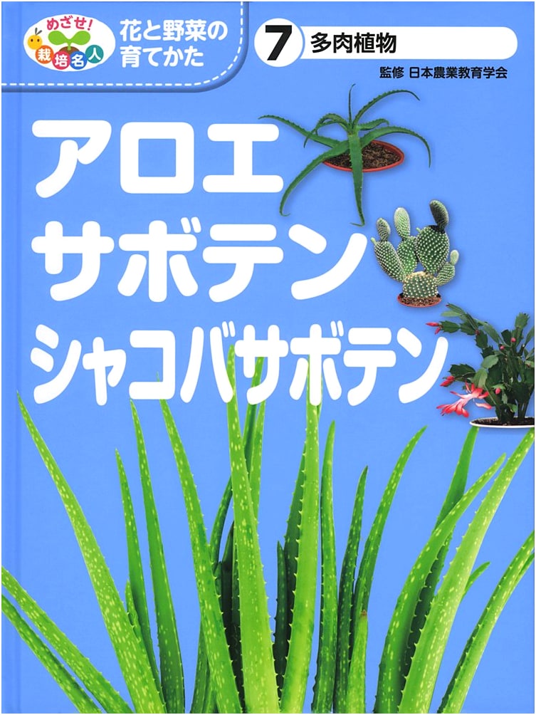 Succulent Plants: Aloe, Cacti, and Schlumbergera