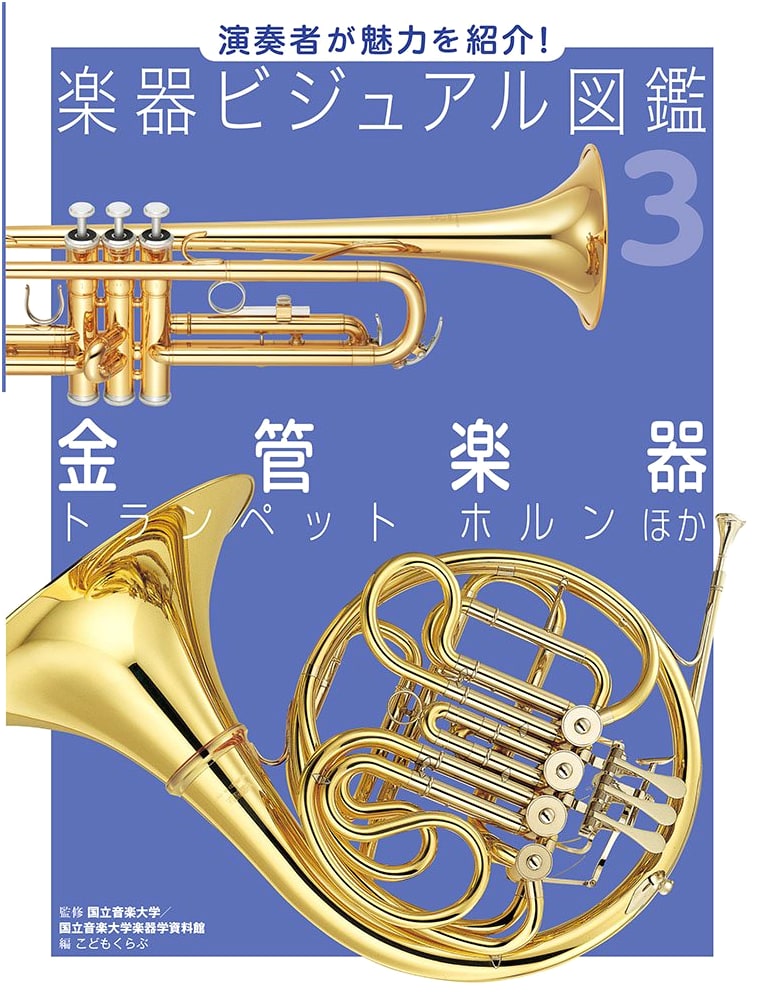 Brass Instruments: Trumpets, Horns, and More - A Performer's Guide