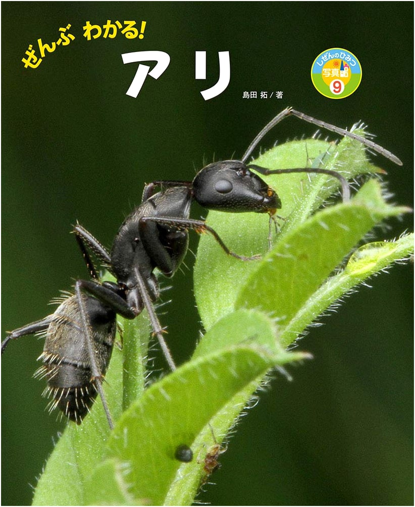 All About Ants! Secrets of Nature Photo Gallery Vol. 9