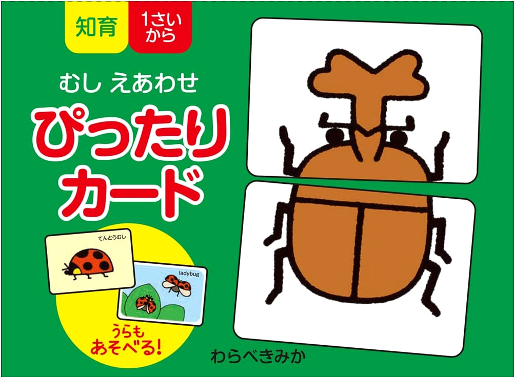 Bug Matching Perfect Cards (Poplar Co. Book 462)