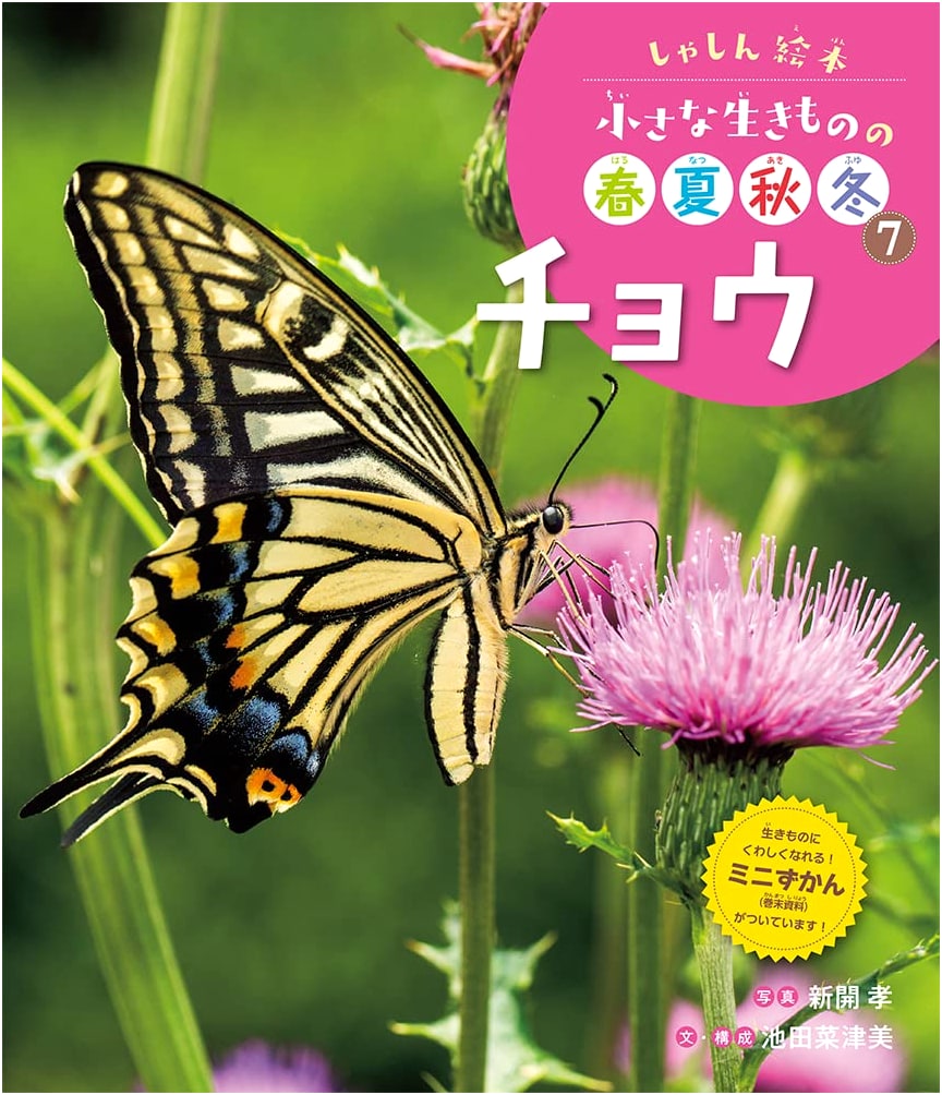Butterflies (Photo Picture Book: Small Creatures' Four Seasons, Vol. 7)