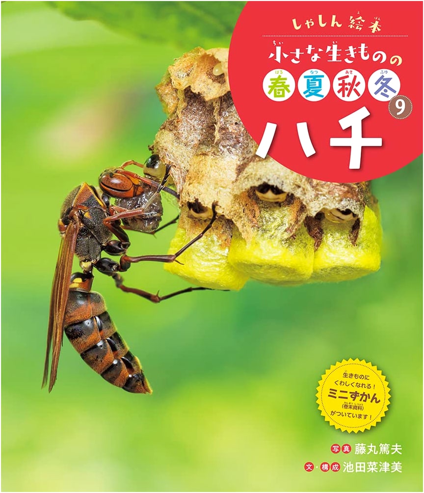 Hachi (Honeybee): A Photographic Picture Book of Small Creatures (Spring, Summer, Autumn, Winter Vol. 9)