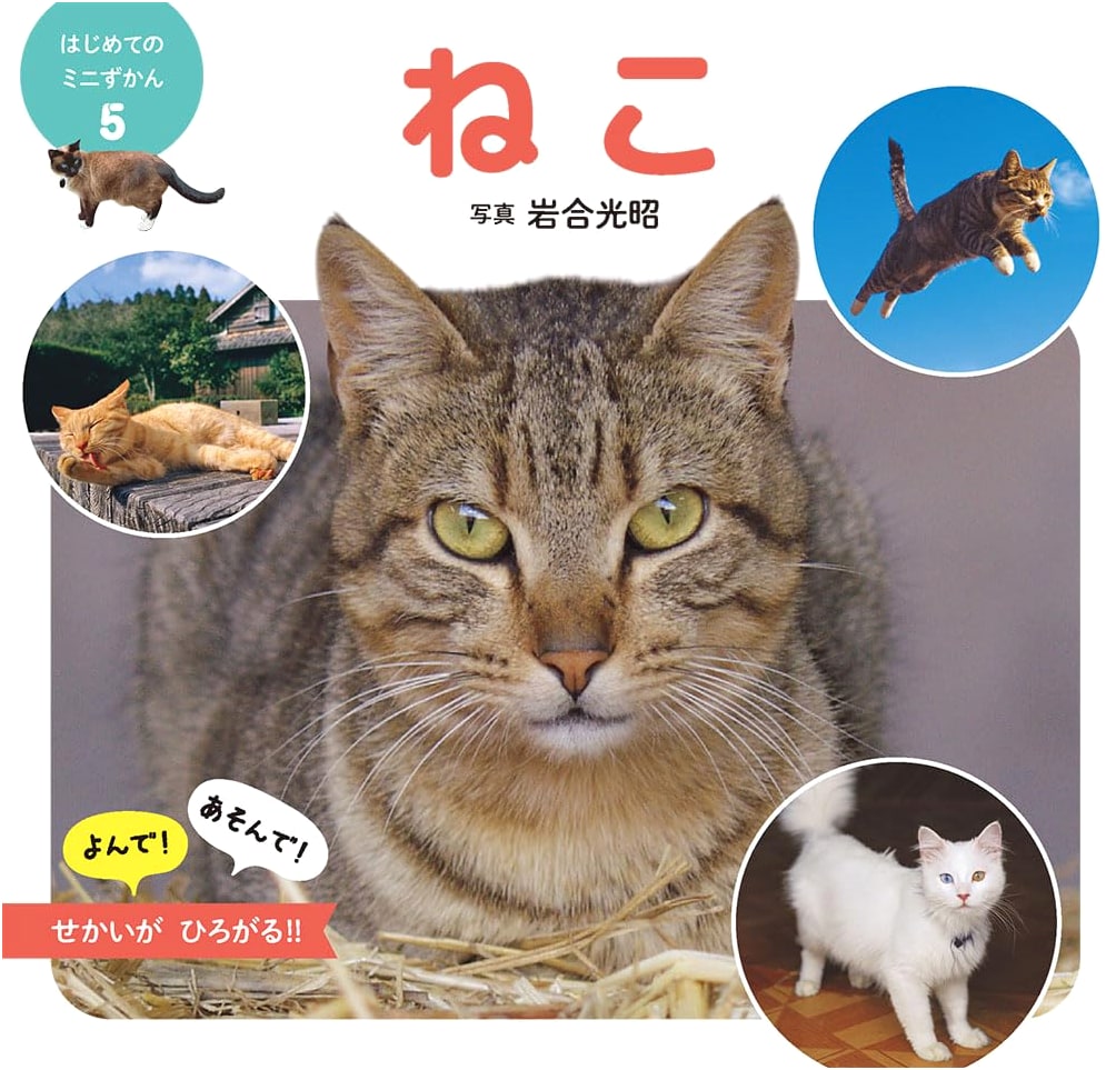 Cats (First Mini Encyclopedia Vol. 5)