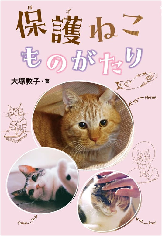 Tales of Rescue Cats (Poplar Publishing Non-Fiction #47)