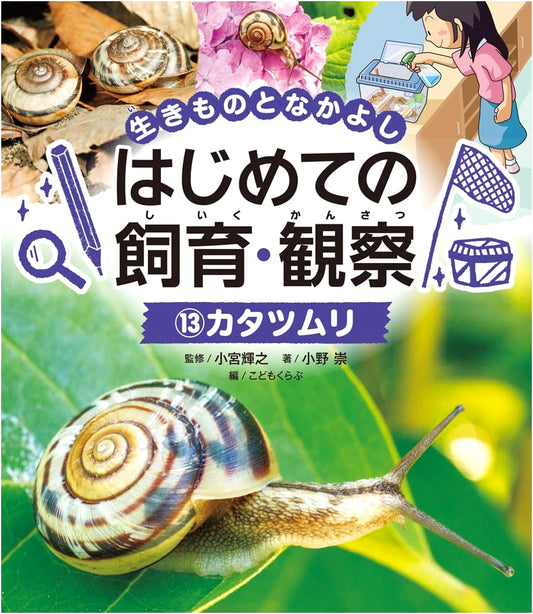 Snail: Your First Guide to Rearing & Observation (Animal Companions Series 13)