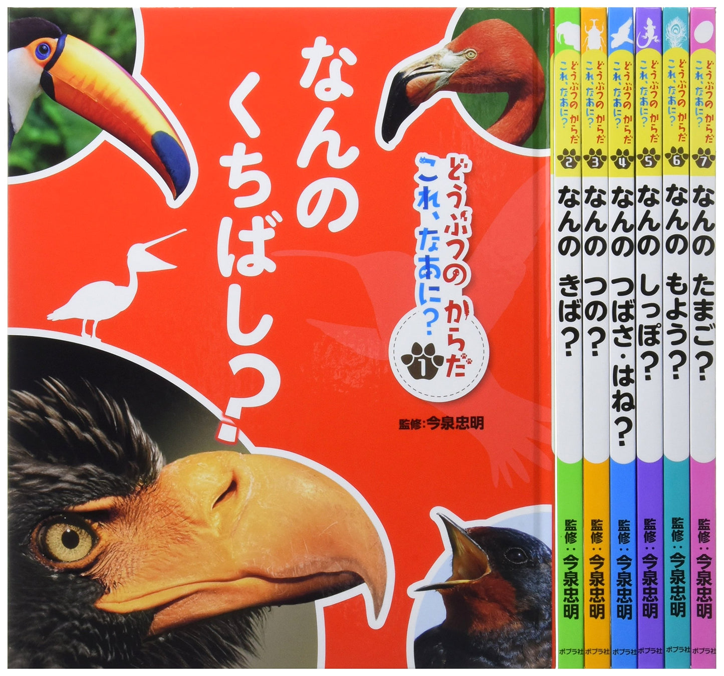 Animal Bodies: What Is This? (Complete 7-Volume Set)