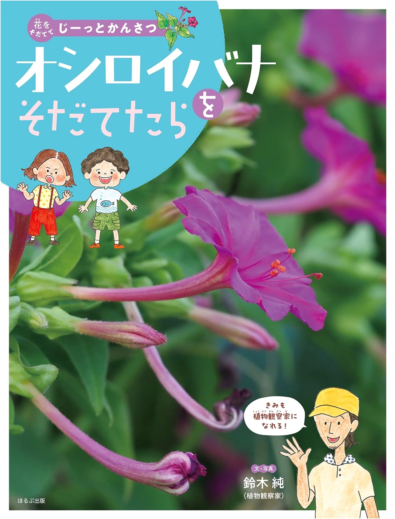 Growing Four O'Clock Flowers: A Close Observation of Nature