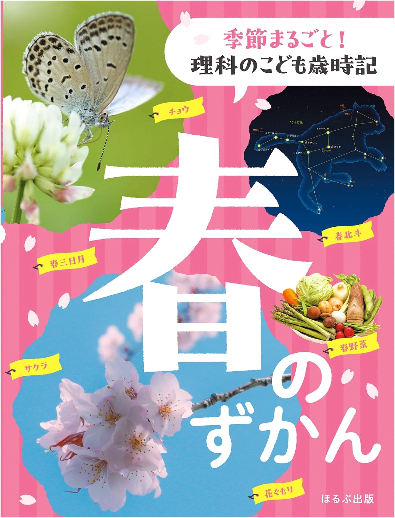 Illustrated Guide to Spring: A Children's Seasonal Science Almanac