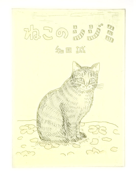 Shijimi the Cat: Forest of Images
