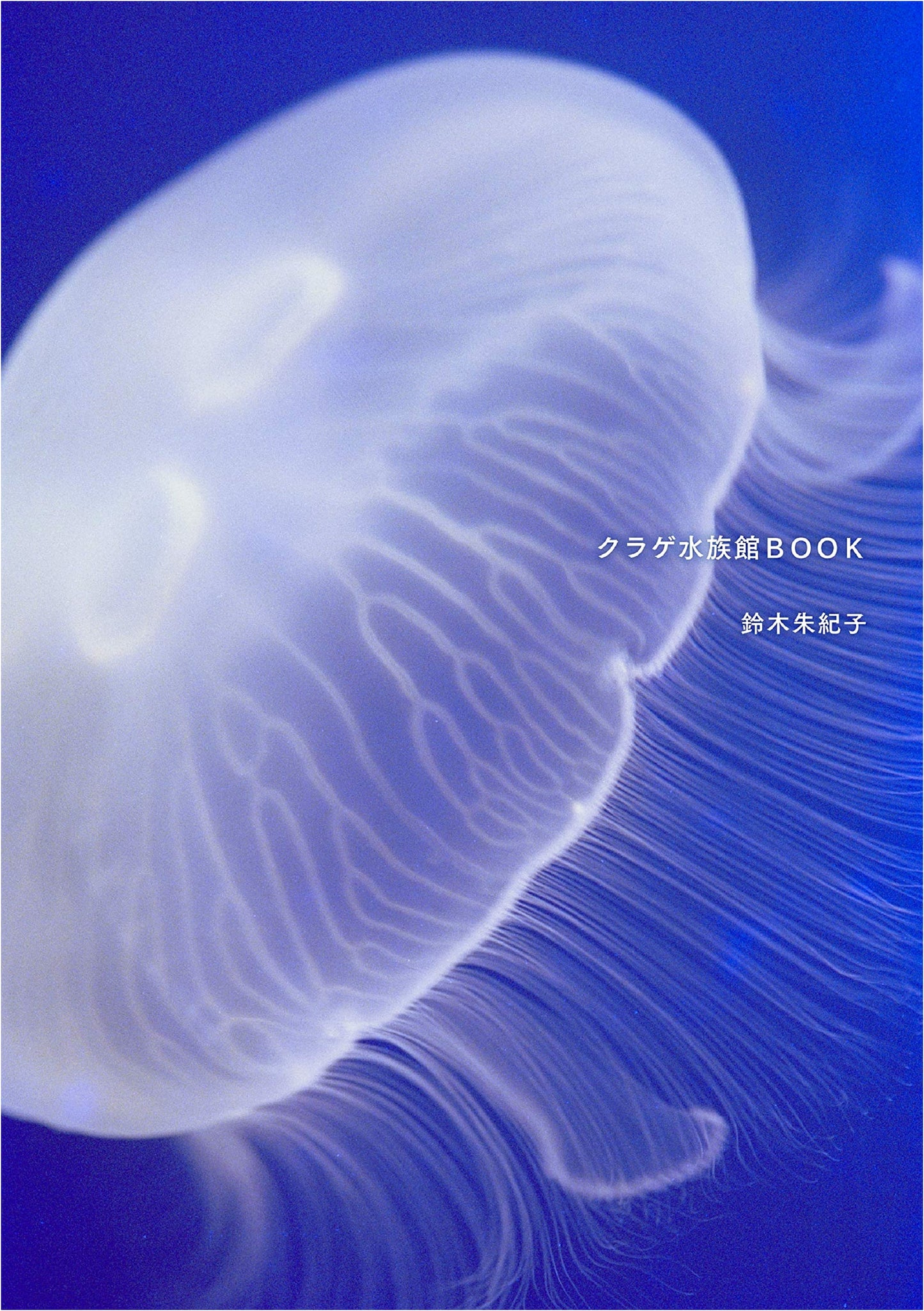 Jellyfish Aquarium Book by Akiko Suzuki