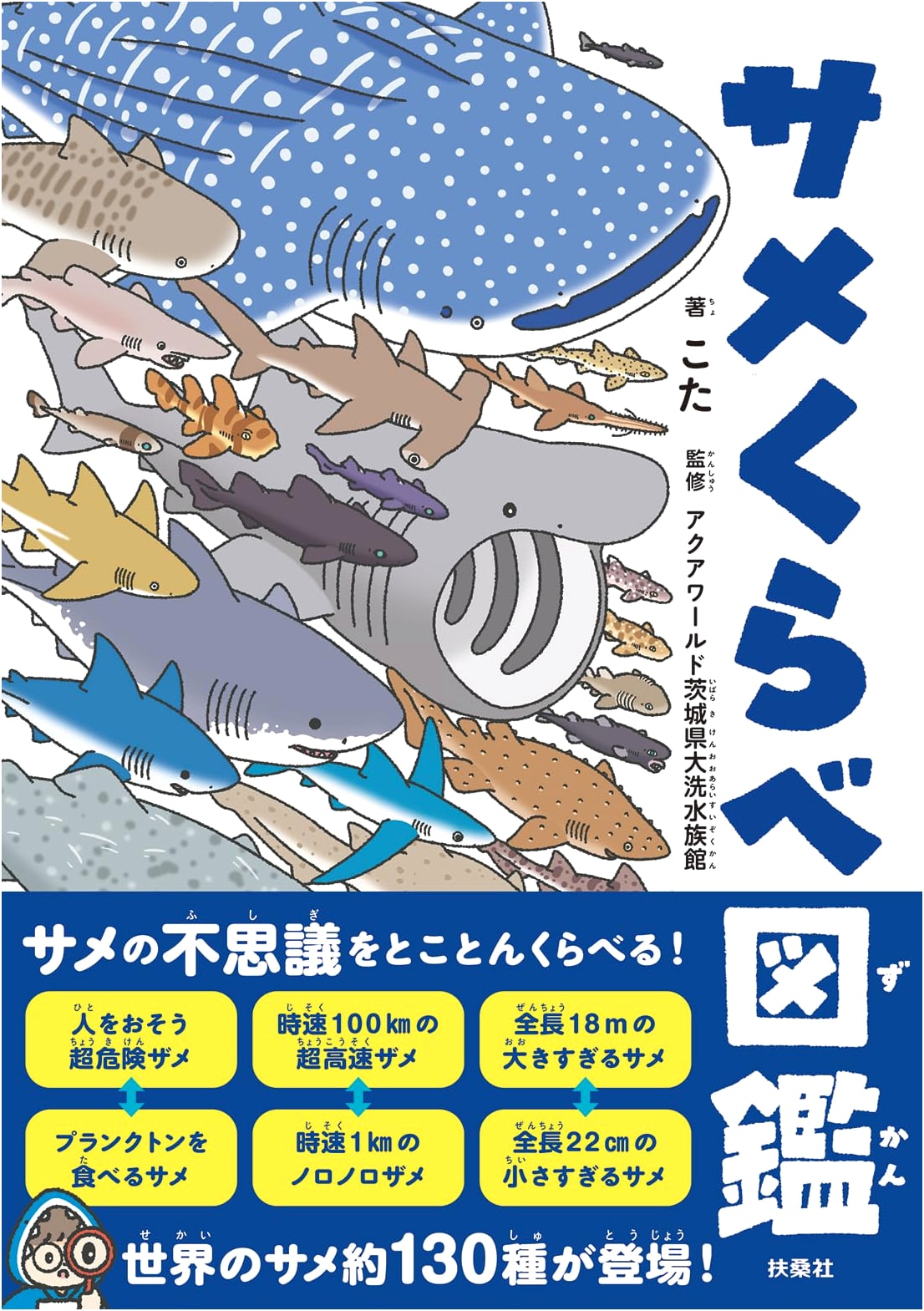 Illustrated Shark Comparison Guide