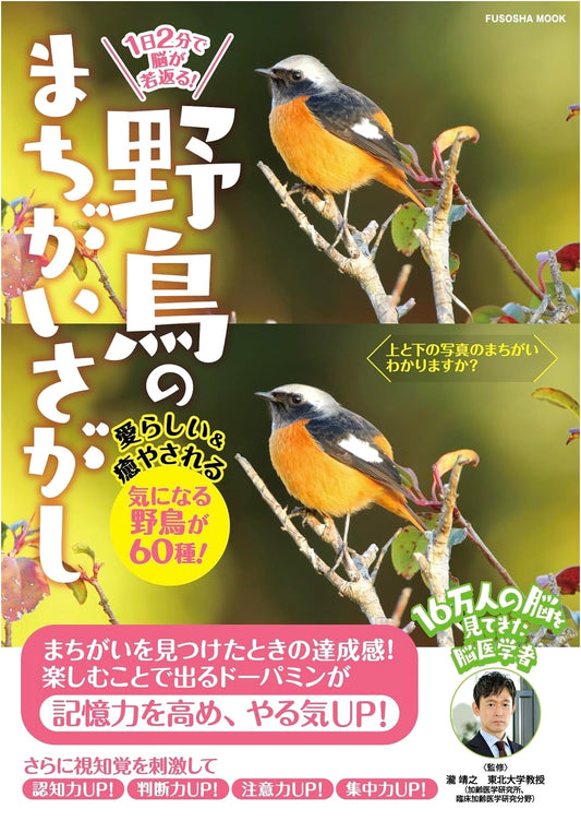 Rejuvenate Your Brain in 2 Minutes a Day! Wild Bird Spot the Difference Puzzle Book