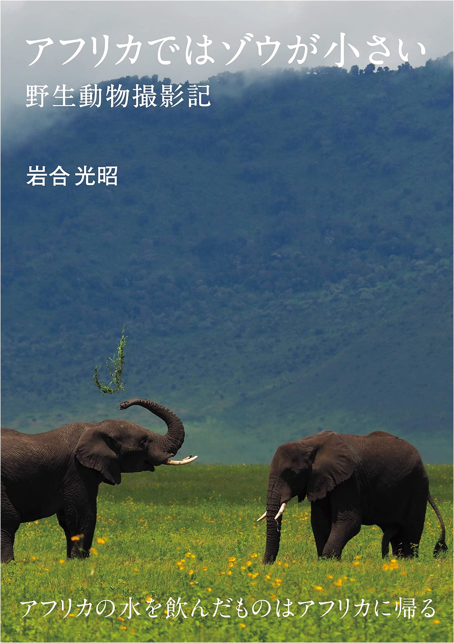 Elephants Are Small in Africa: Wildlife Photography by Mitsuaki Iwago