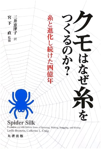 Why Do Spiders Spin Silk? Exploring the Wonders of Arachnid Engineering