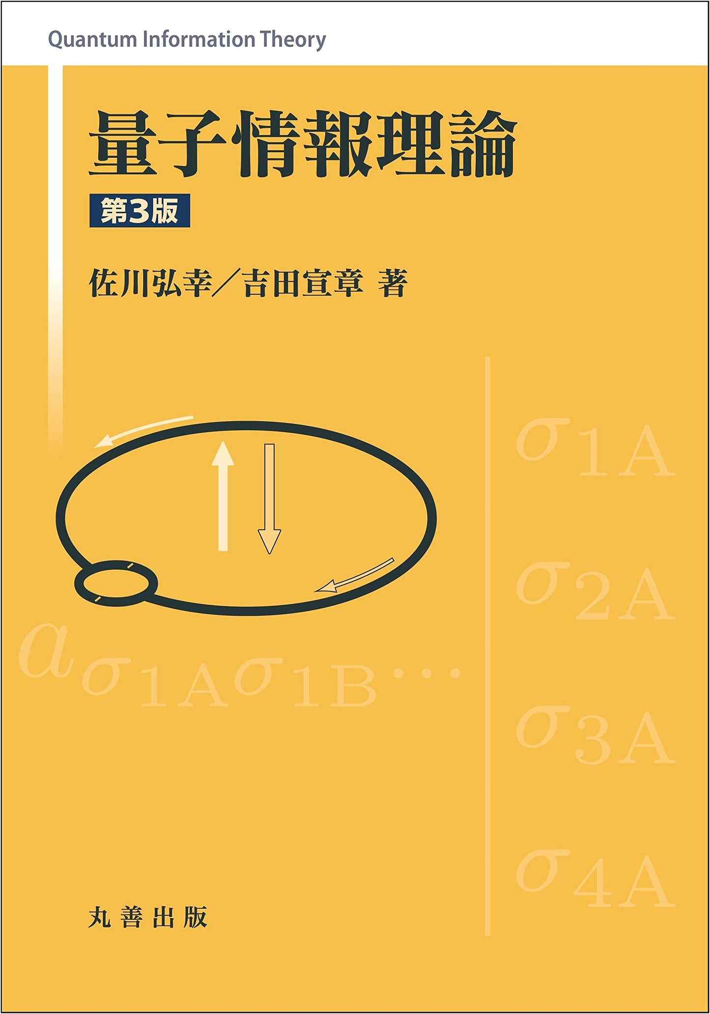 Quantum Information Theory, 3rd Edition