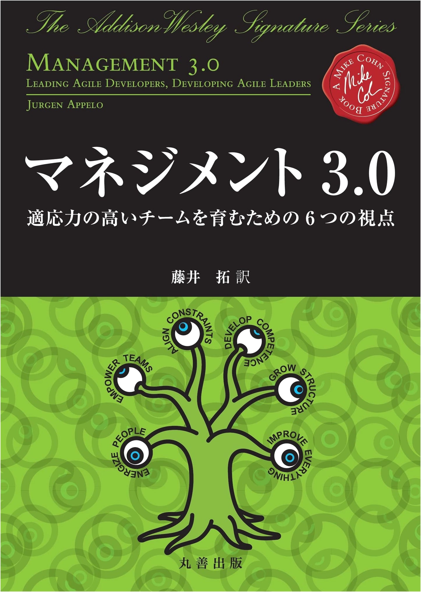 Management 3.0: Six Perspectives for Fostering Highly Adaptive Teams