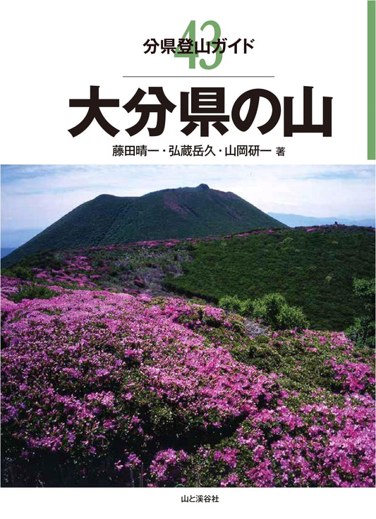 Mountain Climbing Guide: Oita Prefecture (Yamakei Guide) by Haruichi Fujita