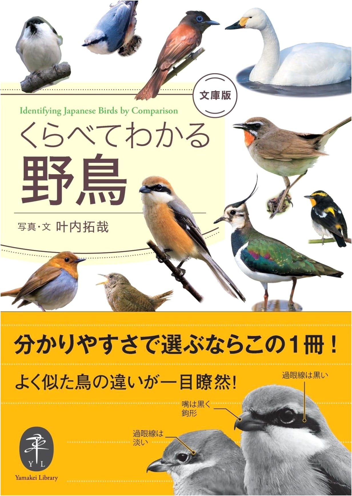 A Comparative Guide to Wild Birds (Pocket Edition)