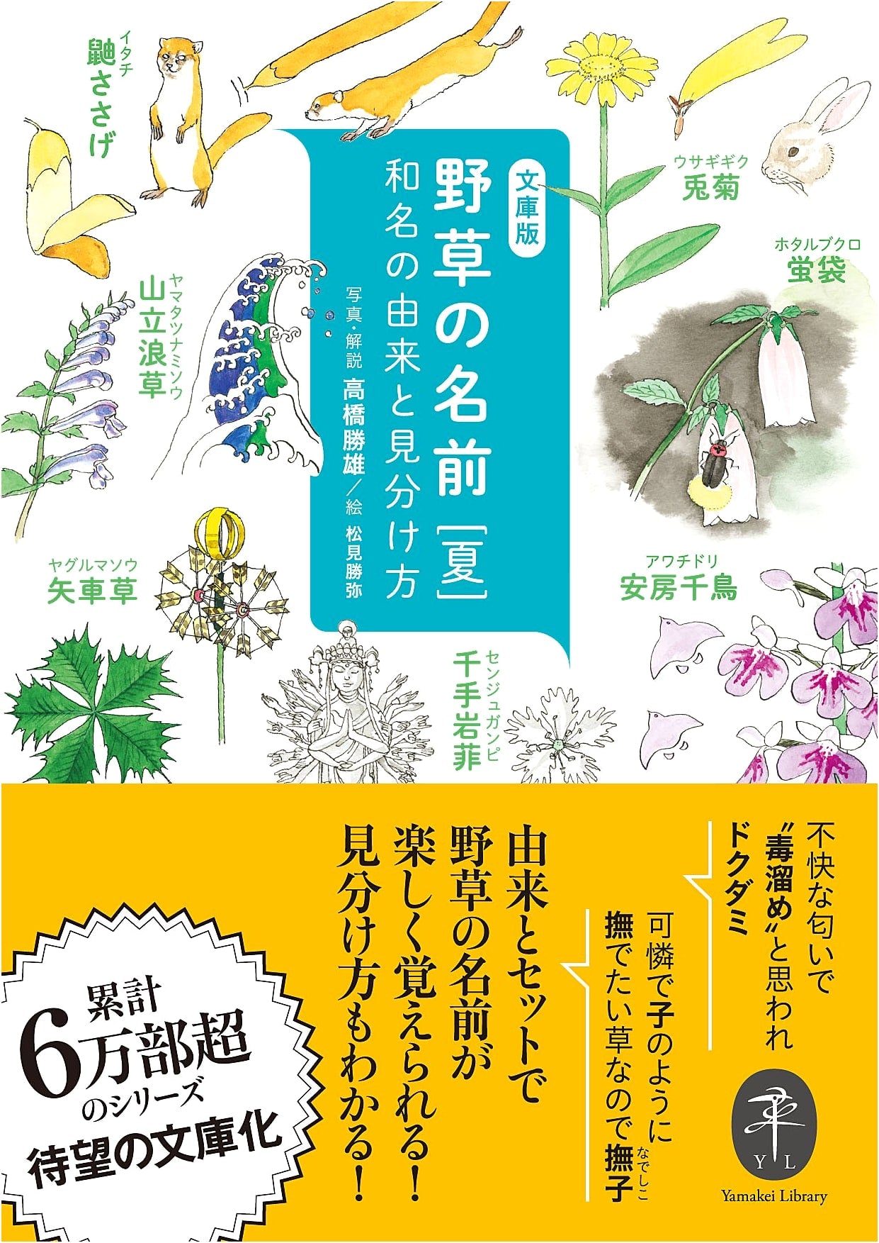 Summer Wildflower Names: Japanese Names, Origins, and Identification by Katsuo Takahashi