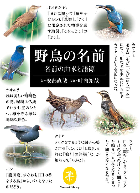 Yamakei Pocket Guide: Bird Names - Origins and Etymology by Naoya Abe