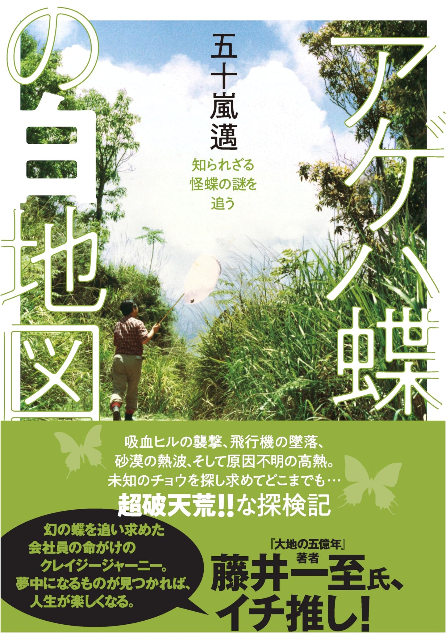 Yamakei Bunko: The White Map of Swallowtail Butterflies – Tracking Enigmatic Species