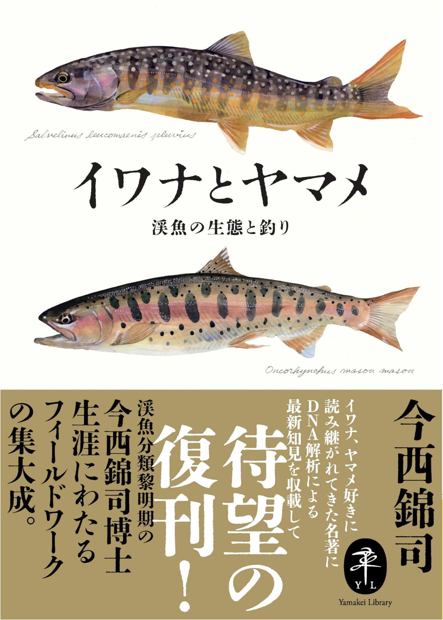 Iwana and Yamame: Ecology and Fishing for Japanese Stream Fish (Yamakei Bunko)